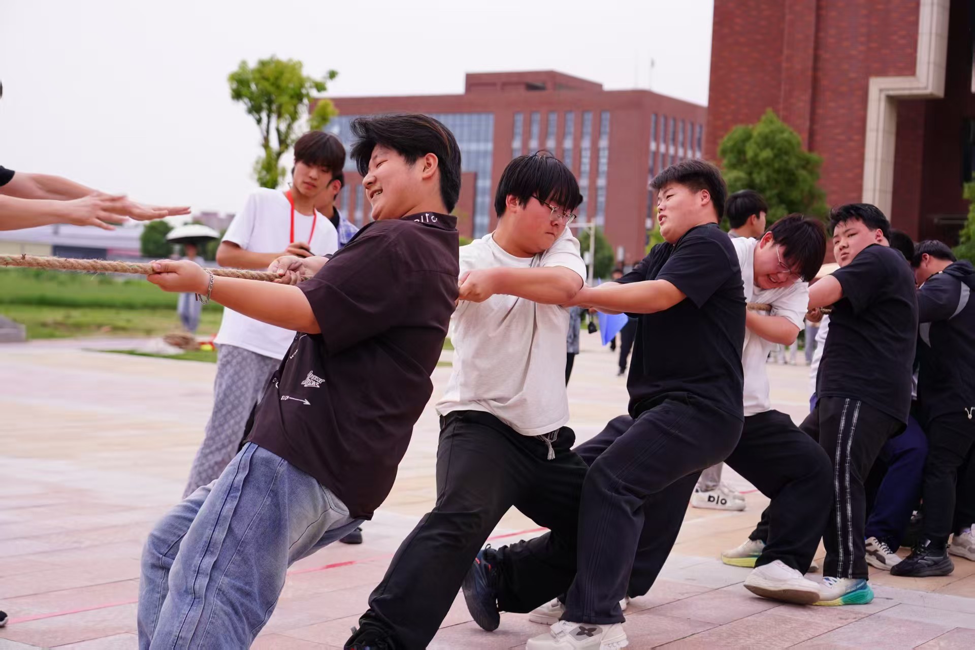 微信图片_20260611152926_277_2.jpg