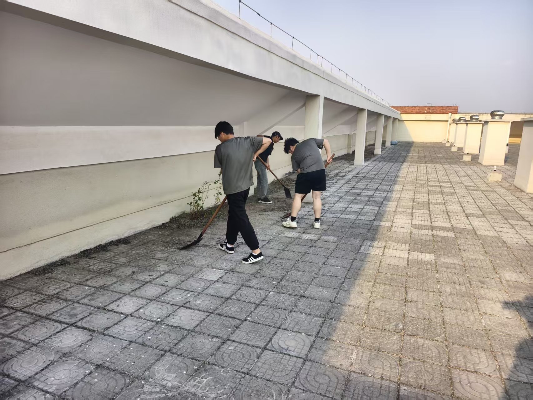 微信图片_20260603173357_1622_388.jpg
