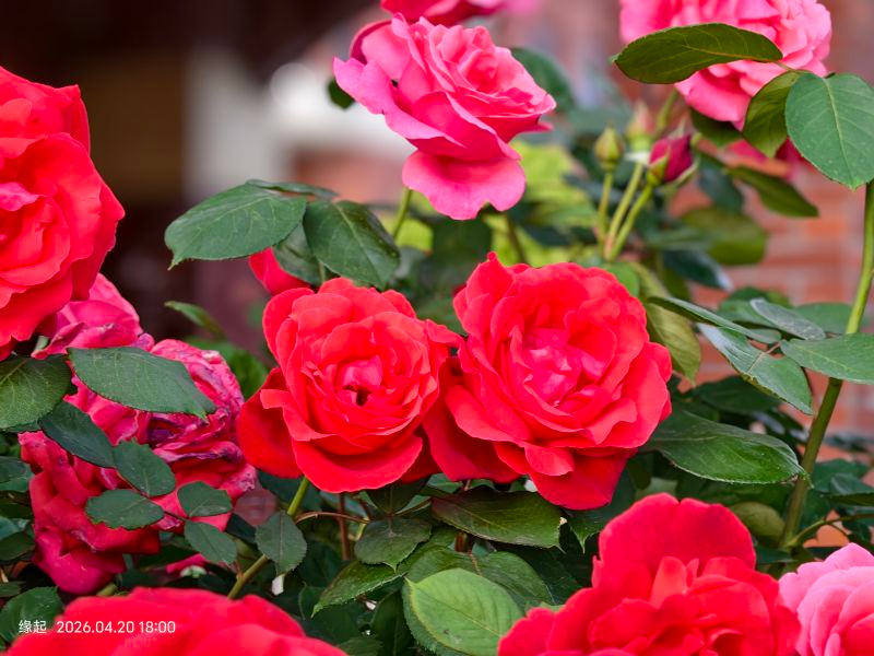 d708707d-7dbd-47ba-be13-825dd6724393.png